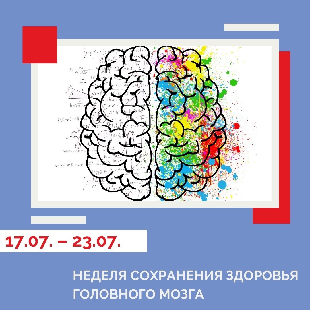 Brain 22